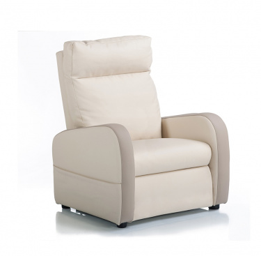 Fauteuil relaxation 1 moteur cuir bicolore FIDJI