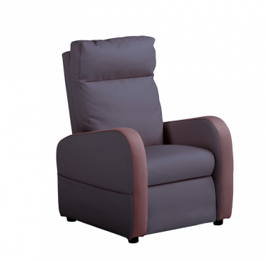 Fauteuil relaxation 1 moteur cuir bicolore FIDJI