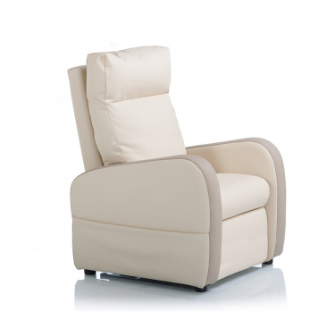 Fauteuil relaxation 1 moteur cuir bicolore FIDJI