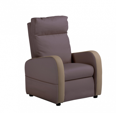 Fauteuil relaxation 2 moteurs cuir bicolore FIDJI