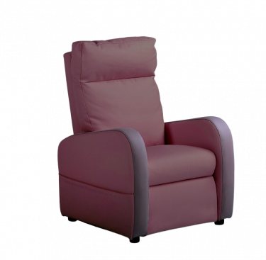 Fauteuil releveur 1 moteur cuir bicolore FIDJI