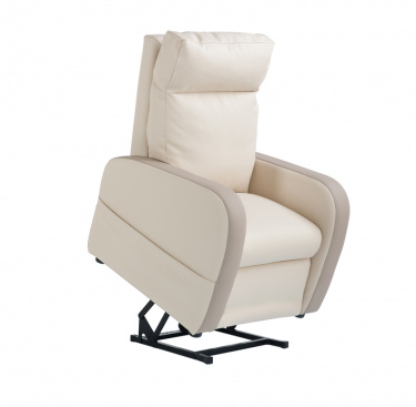 Fauteuil releveur 1 moteur cuir bicolore FIDJI