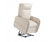 Fauteuil releveur 1 moteur cuir bicolore FIDJI