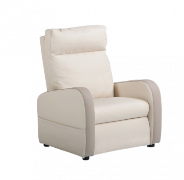 Fauteuil releveur 2 moteurs cuir bicolore FIDJI